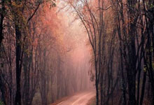 乐鱼体育APP下载-当拜仁空降中超！一场改写历史的国际玩笑