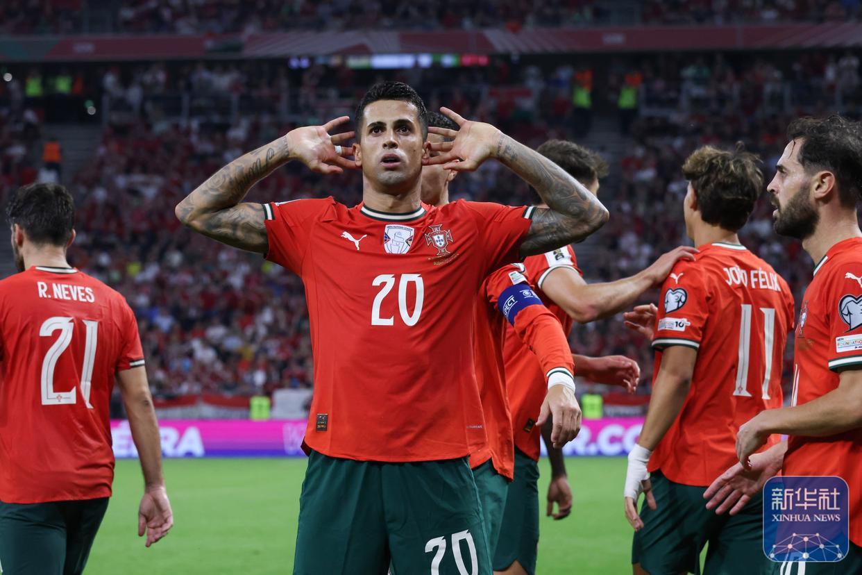 关于奥地利队逆转葡萄牙队，梁靖崑扛起全队的信息